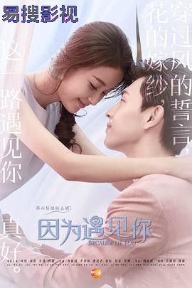 因为遇见你国产剧在线观看
